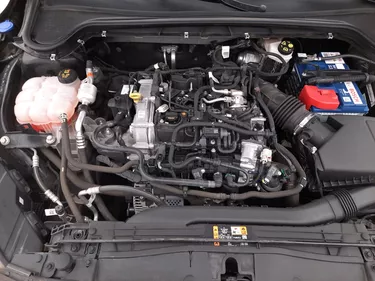 Ford Focus Business 1.0 Mild Hybrid 125CV Manuale Vano motore