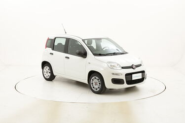 Fiat Panda Easy usata del 2016 con 37.605 km