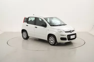 Fiat Panda Easy 1.2 Benzina 69CV Manuale