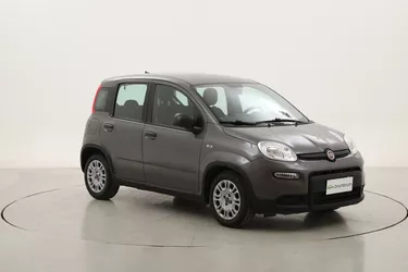 Fiat Panda Hybrid 1.0 Mild Hybrid 70CV Manuale Fiat Panda Hybrid 1.0 Mild Hybrid 70CV Manuale