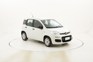 Fiat Panda Easy usata del 2016 con 28.537 km