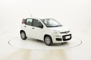 Fiat Panda Easy usata del 2016 con 36.356 km