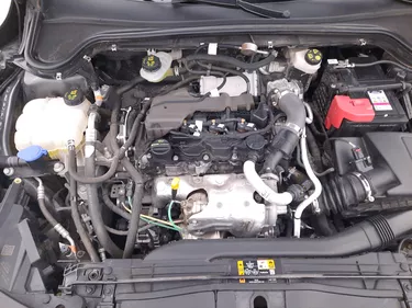 Ford Focus SW Business Co-Pilot 1.5 Diesel 120CV Automatico Vano motore
