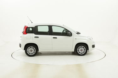 Fiat Panda Easy usata del 2017 con 19.120 km