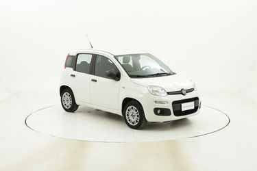 Fiat Panda Easy usata del 2017 con 19.120 km