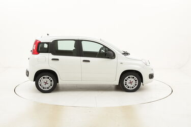 Fiat Panda Easy usata del 2019 con 10.669 km