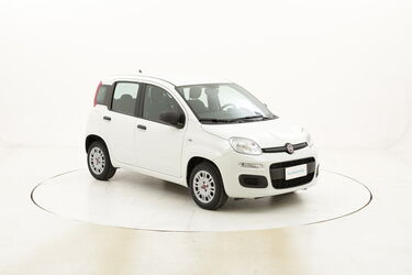 Fiat Panda Easy usata del 2019 con 10.669 km