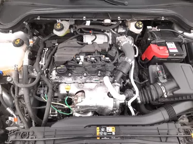 Ford Focus ST-Line 1.5 Diesel 115CV Automatico Vano motore