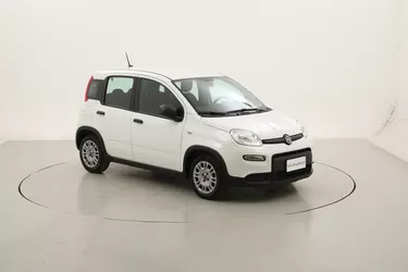 Fiat Panda Hybrid 1.0 Mild Hybrid 70CV Manuale Fiat Panda Hybrid 1.0 Mild Hybrid 70CV Manuale