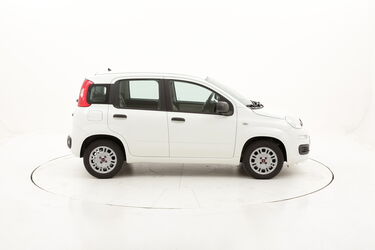 Fiat Panda Easy usata del 2016 con 38.571 km