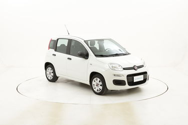 Fiat Panda Easy usata del 2016 con 33.573 km