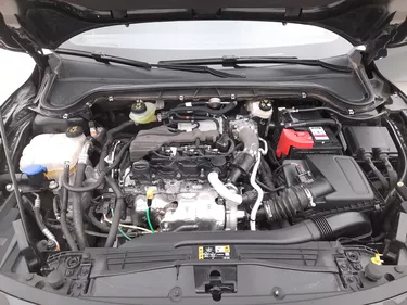 Ford Focus ST-Line  1.5 Diesel 115CV Automatico Vano motore