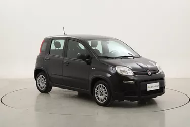Fiat Panda Hybrid 1.0 Mild Hybrid 70CV Manuale