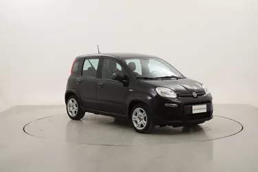Fiat Panda Hybrid 1.0 Mild Hybrid 70CV Manuale Fiat Panda Hybrid 1.0 Mild Hybrid 70CV Manuale