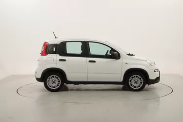 Fiat Panda Hybrid 1.0 Mild Hybrid 70CV Manuale Fiat Panda Hybrid 1.0 Mild Hybrid 70CV Manuale