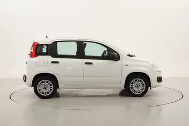 Fiat Panda Easy 1.2 GPL 69CV Manuale