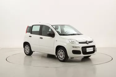 Fiat Panda Easy 1.2 GPL 69CV Manuale