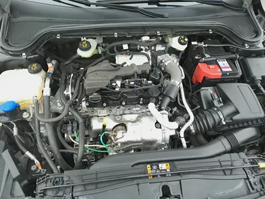 Ford Focus ST-Line 1.5 Diesel 115CV Automatico Vano motore