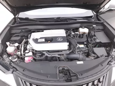 Lexus UX Hybrid Business 2.0 Full Hybrid 184CV Automatico Vano motore