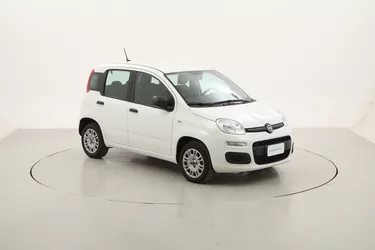 Fiat Panda Easy 1.2 Benzina 69CV Manuale
