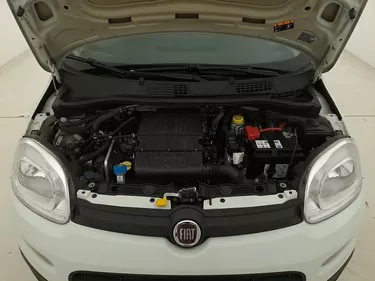 Fiat Panda Easy 1.2 GPL 69CV Manuale Vano motore
