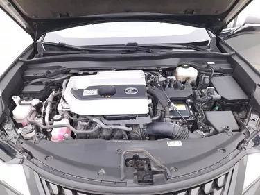 Lexus UX Hybrid Business 2.0 Full Hybrid 184CV Automatico Vano motore
