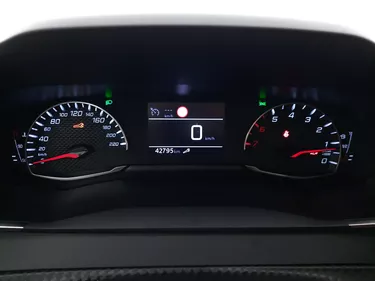 Peugeot 208 Active Pack 1.2 Benzina 101CV Manuale Interni