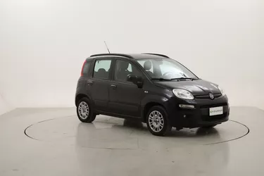 Fiat Panda Lounge 1.2 Benzina 69CV Manuale Fiat Panda Lounge 1.2 Benzina 69CV Manuale