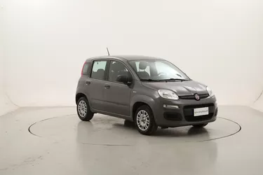 Fiat Panda Easy 1.2 Benzina 69CV Manuale