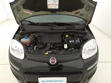 Fiat Panda Easy 1.0 Mild Hybrid 69CV Manuale Vano motore