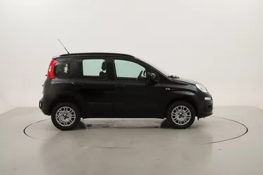 Fiat Panda Lounge 1.2 Benzina 69CV Manuale Fiat Panda Lounge 1.2 Benzina 69CV Manuale